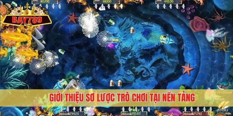 Giới thiệu sơ lược trò chơi tại nền tảng